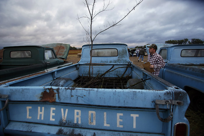 Potential buyer and car enthusiast Bill Gerst checks out a 1965 Chevrolet truck that has a tree growing out of it that is part of the the vintage automobiles from the Lambrecht Collection before being put up for auction in Pierce, Nebraska, September 28, 2013. Over 500 classic cars and trucks from an inventory collected by Ray and Mildred Lambrecht will be sold over the weekend. REUTERS/Jim Urquhart  (UNITED STATES)
